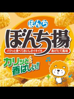 [x]あられ・せんべいのぼんち株式会社