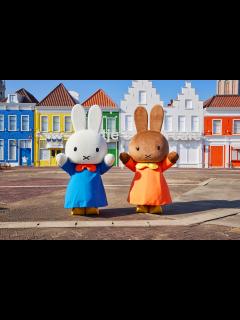 [x]【miffyグッズ紹介】ハウステンボス限定ミッフィーグッズ・×・今までに購入したグッズを紹介♡ - YouTube