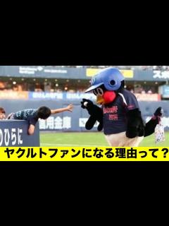 [x]ヤクルトファンになる理由って「みんなの反応集」 - YouTube
