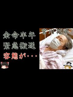 [x]宮川花子の余命半年の切ない難病...緊急搬送された現在の容態に涙が零れ落ちた...『宮川大助・花子』で有名な夫婦漫才師の娘の現在や相方の正体 ...