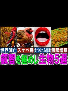 [x]繫殖能力がヤバすぎる生き物5選【ゆっくり解説