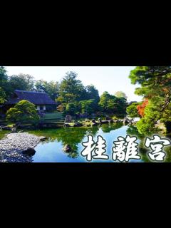[x]京都ひとり旅。【桂離宮・前編】桂離宮の当日参観を申し込んでみました。 - YouTube