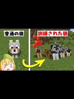 [x]自分だけの最強のオオカミを育てる【マインクラフト】 - YouTube