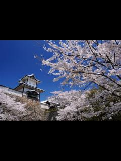 [x]石川県観光スポット紹介 | SingaLife online