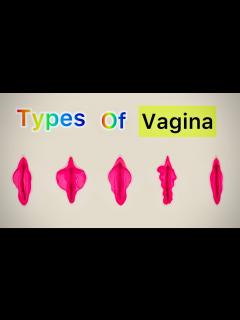 [x]Diagram Of A Vagina Anatomy