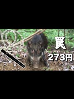 [x]自作のくくり罠-前編【私の罠は273円-トリガー部編】伝統的で原始的な罠を製作する-台湾から伝わったハネ上げ式罠 - YouTube