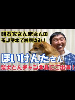 [x]明石家さんまさんのモノマネでお馴染み！芸人ほいけんたさんと柴犬とん君のコラボ！ご覧あれ！！ - YouTube