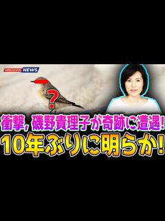 [x]10日フジテレビに初出演した磯野貴理子が明かした奇跡の素晴らしい出来事とは？ - YouTube