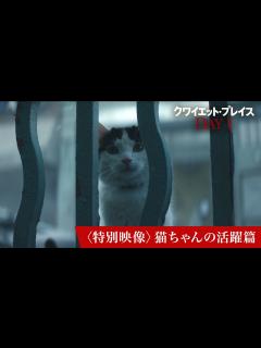 [x]映画『クワイエット・プレイス：DAY 1』〈特別映像〉猫ちゃんの活躍篇｜6月28日(金)全国ロードショー - YouTube
