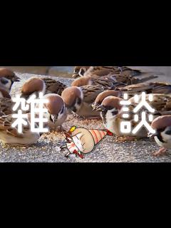 [x]ﾁｭﾝﾁｭﾝﾁｭﾝ。えび。 - YouTube