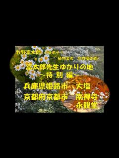 [x]富太郎先生ゆかりの地特別編（ノジギク・紅葉） - YouTube