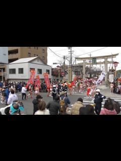 [x]尾張大國霊神社 令和5年 国府宮はだか祭「裸男 なおい笹奉納」【2/4】(天池,西島奉賛会,多加木,竹腰町,木全,甚目寺厄年会 三八会,法花寺 ...