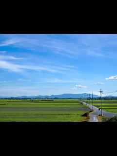 [x]28,517 件の最適な 抜ける 画像、ストック写真、ベクター | Adobe Stock