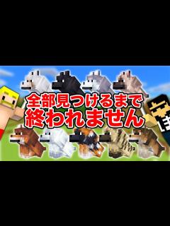 [x]【マイクラアプデ】新登場！オオカミ全て見つけるまで終われません！ - YouTube