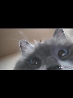 [x]おわかりいただけただろうか - ニコニコ動画