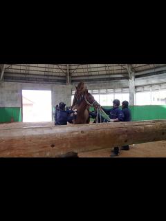 [x]種付け Mating - YouTube