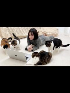 [x]猫の大好きなアニメをみんなで見てみたら最高でしたw - YouTube