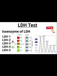[x]LDH Test || Isoenzymes of LDH || Functions of LDH - YouTube