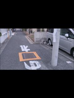 [x]そして、一人ぼっちになった😿 - YouTube