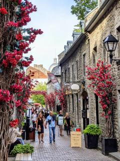 [x]Best Things to Do in Montreal | Unique Tours & Activities - Quebec ...