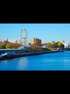 [x]足立区対応おすすめ部屋の片付け代行業者10選！優良＆格安業者を厳選