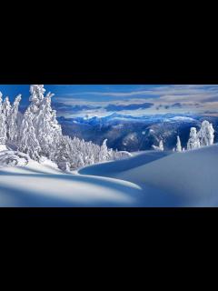 [x]Snow HD Wallpaper - Wallpaper, High Definition, High Quality, Widescreen