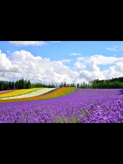 [x]【北海道の人気観光地40選】絶対外さない北海道おすすめスポットランキング | RETRIP[リトリップ]