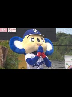 [x]ドアラが交通整理をすると『ある理由』で大惨事になることを教えてくれるドアラ (2022/09/11) - YouTube
